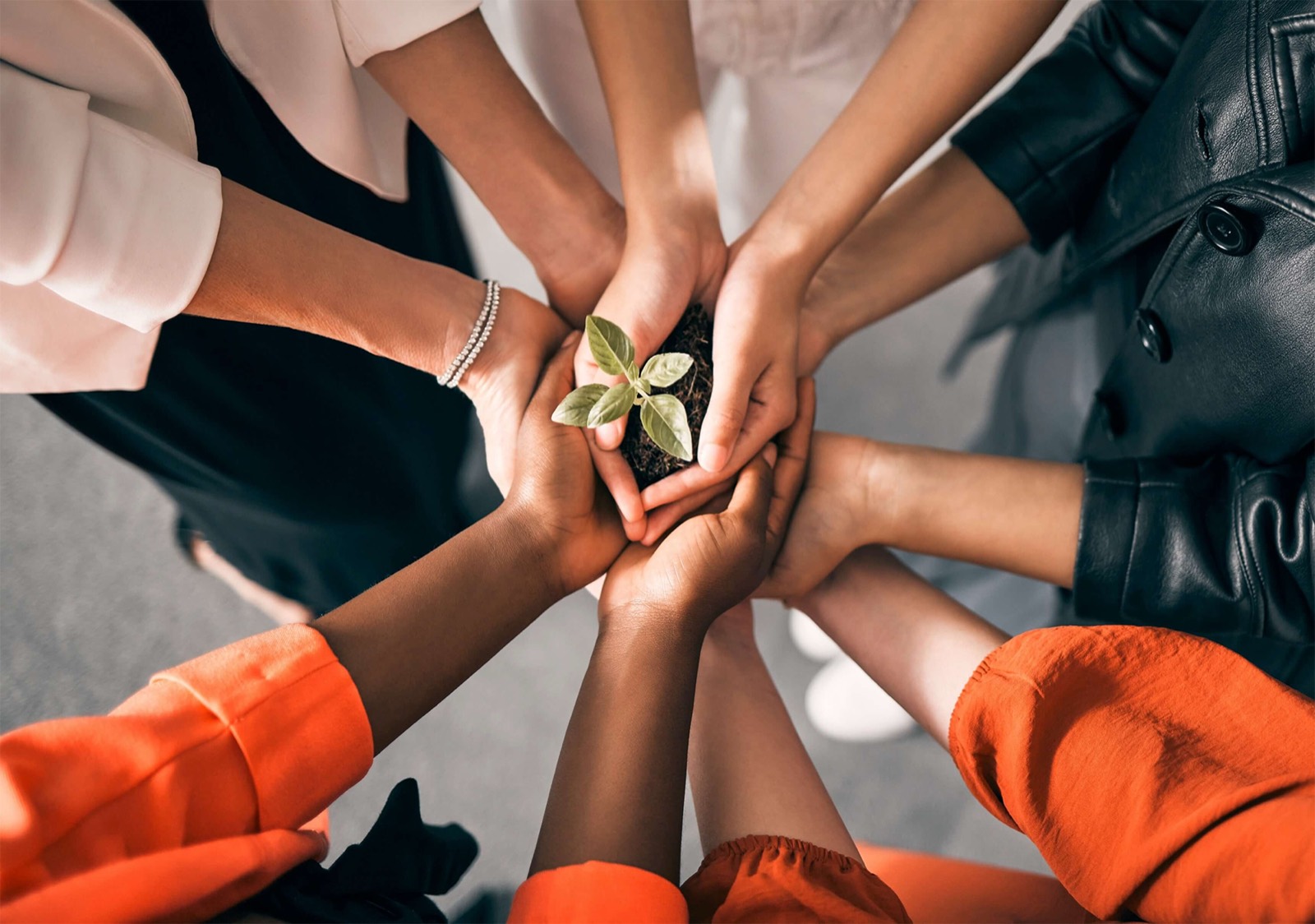 Fundraising events organized with Entase