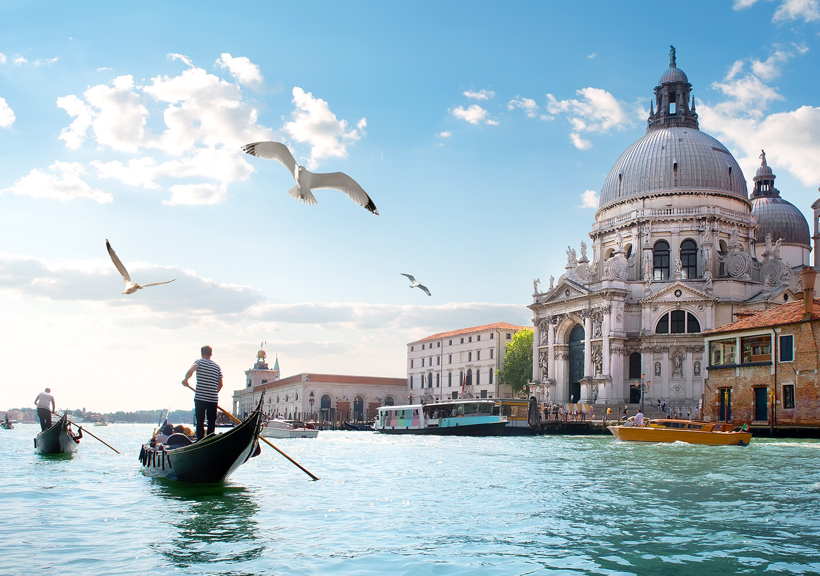 Guided tours and experiences booked through Entase